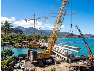 Certified Cranes in Hawaii for Safe and Precise Lifting Jobs - Arborist Services