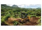 Professional Forest Mulching in Hilo Transforms Overgrown Land - Arborist Services 