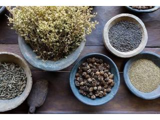 Natural Health Strategies – Wellness Through Prevention