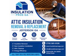 Attic Insulation Removal and Replacement GA