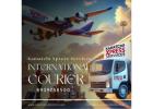INTERNATIONAL COURIER SERVICES NEAR ME CHENNAI 