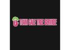 Team Gale Tree Service