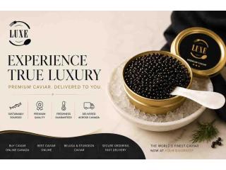Best Caviar Online for Elegant Dining and Luxury Gifts