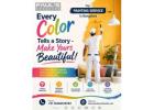 Top Painting Service in Bangalore