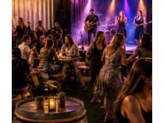 Find Top Live Music Spots in Joshua Tree for Enjoy Summer Nights