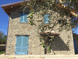 Discover the Best Location in Piemonte for Homes