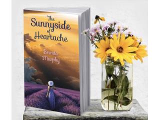 Book Cover Design by a Professional Book Cover Designer