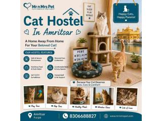 Cat Hostel