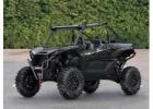 2026 Kawasaki Teryx KRX 1000 Blackout Edition