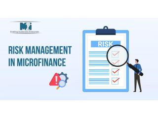Expert Risk Management in Microfinance for Better Decision-Making