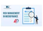 Expert Risk Management in Microfinance for Better Decision-Making