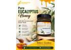Pure Eucalyptus Honey with Rich Aroma and Great Taste