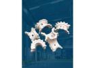 Ceramic Ultra Exporters Offering Global Quality Ceramic Products