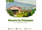 Resorts in Palampur with Swimming Pool 