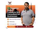 SEO Expert in Dubai | Freelance SEO Consultant for Businesses