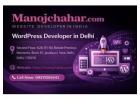Experienced WordPress Developer in Delhi for Custom Projects