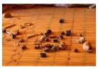 African Spiritual Healer | African Healer in Canada ,+27735584255 