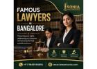 Famous Lawyers in Bangalore