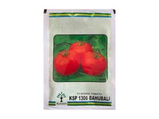 KSP-1306 Bahubali F1 Hybrid Tomato Seeds for High Yield Production
