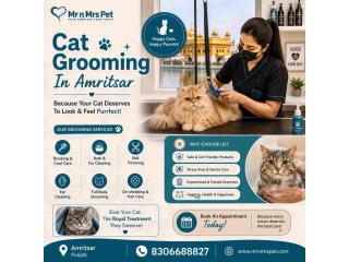 Cat Grooming
