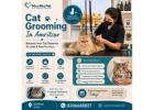 Cat Grooming