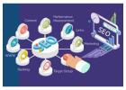 Best SEO Service Provider Company in Delhi for Sustainable Business Growth and Online Visibility