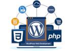 WordPress Development Services in India – Custom Website Solutions for Business Growth