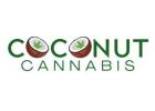 Marijuana Store Walker – Premium Cannabis Products at Coconut Cannabis