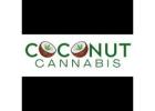 Marijuana Store Walker – Premium Cannabis Products at Coconut Cannabis