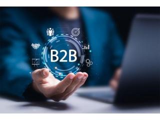 How can businesses attract more buyers through the Best B2B Portal in India?
