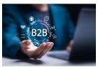 How can businesses attract more buyers through the Best B2B Portal in India?