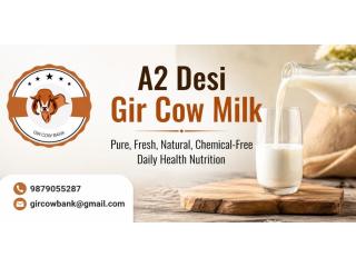 A2 Desi Gir Cow Milk – Pure, Fresh, Natural, Chemical-Free Daily Health Nutrition