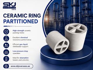 Advanced Ceramic Ring Partitioned for Chemical Processing Use