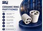 Advanced Ceramic Ring Partitioned for Chemical Processing Use