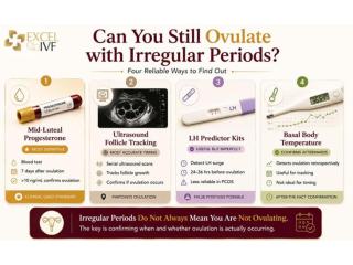 Irregular Periods and Fertility: Does It Mean You Cannot Conceive?