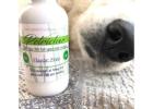 Use CBD Full Spectrum Tincture for Natural Treatment