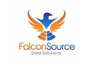 SQL server troubleshooting service | Falcon Source LLC
