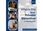 Who is the best Private Detective in Malaysia?