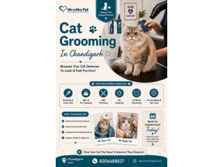 Cat Grooming