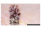 Premium Hair Scrunchies for Secure Hair Hold