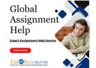 Searching for Global Assignment Help? Visit our Website!