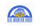 Blue Mountain Arbor LLC