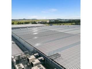 Professional Roof Leak Detection Services for Lasting Protection