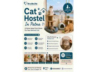 Cat Hostel