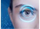 Clearer Vision Starts with Expert Eye Care Treatment in Bardhaman