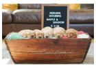 English Cream Golden Retriever Puppies - Loyal, Intelligent & Family-Friendly 