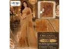 Organza Zarkan Work Saree |Jain Bandhu Best Saree Shop In Lucknow