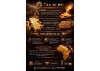 Gold bars