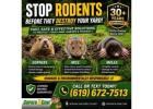 Professional Gopher & Rodent Control Services | Gopher-B-Gone