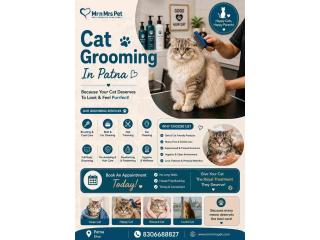 Cat Grooming